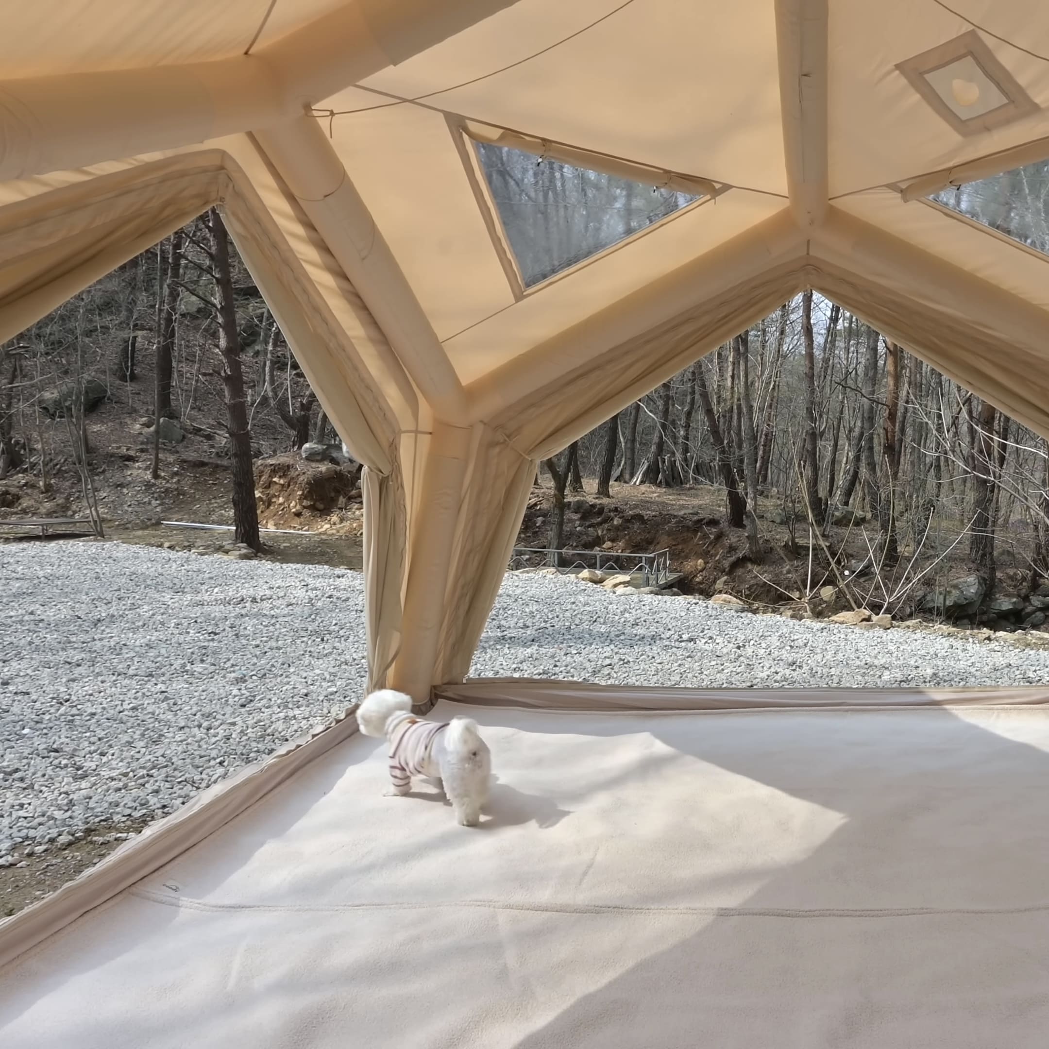 Coody Hub Beige (2-6 person) + Ground Sheet PVC + Carpet Coody Hub + Electric Pump - Image 5