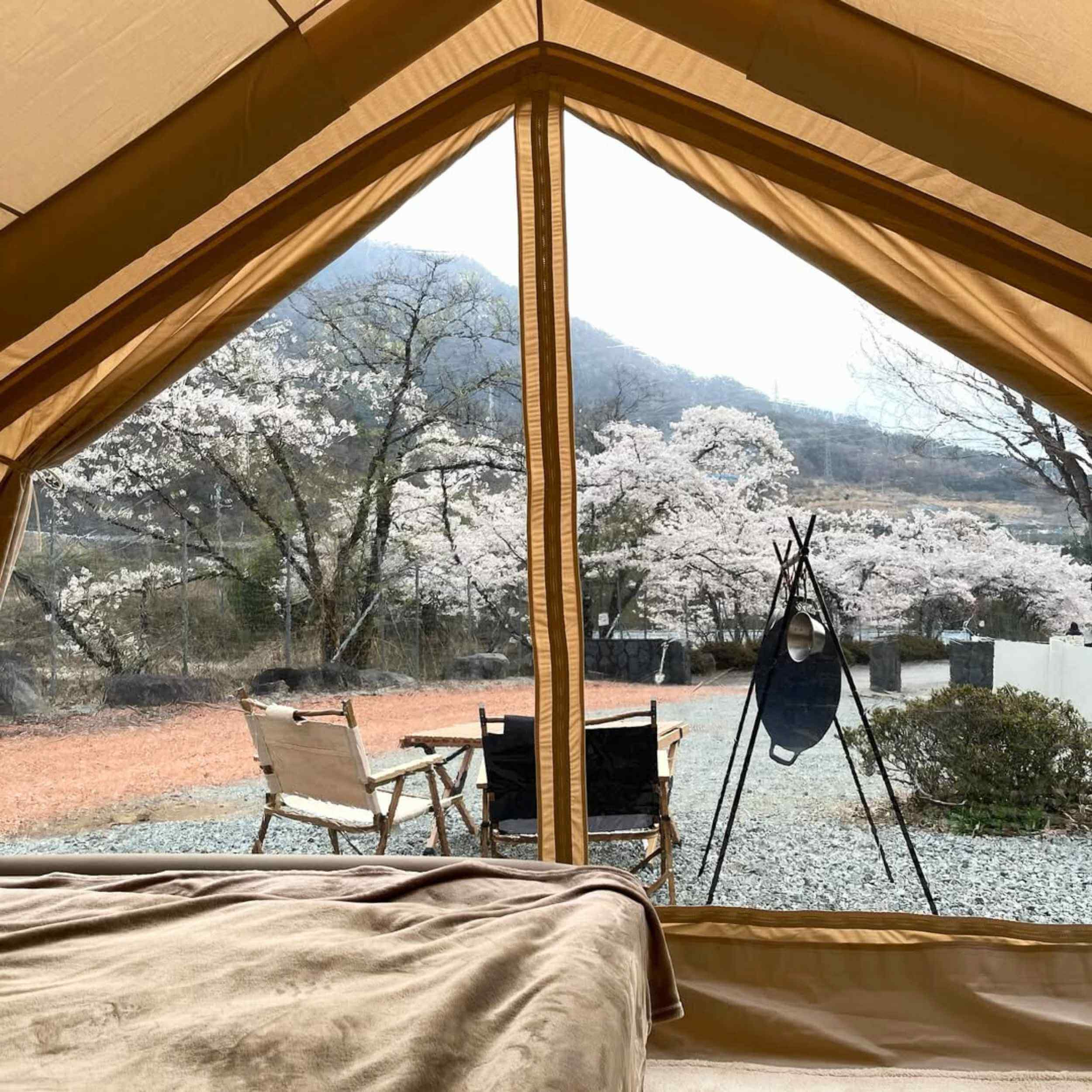 Coody 13.6 (Koala-5) Beige Inflatable Tent for Camping (2-8 person) - Image 5